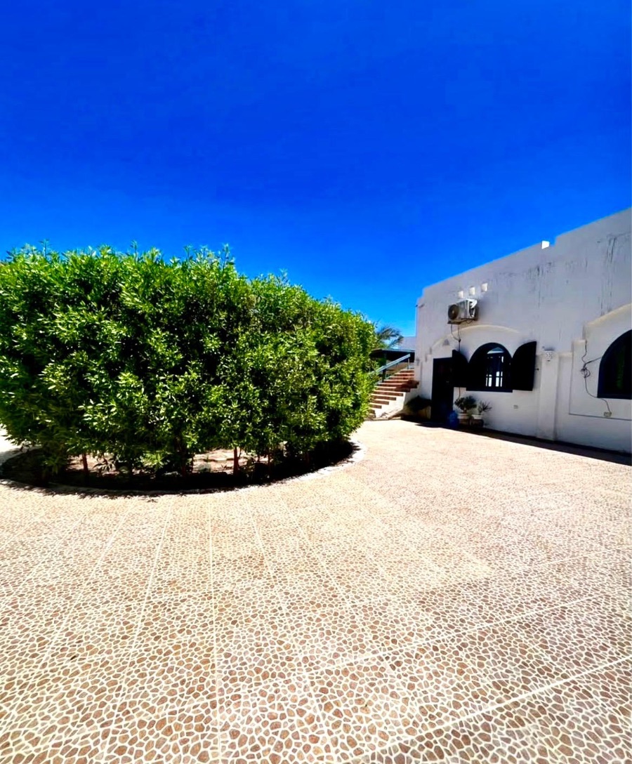 Courtyard with greenery and whitewashed buildings